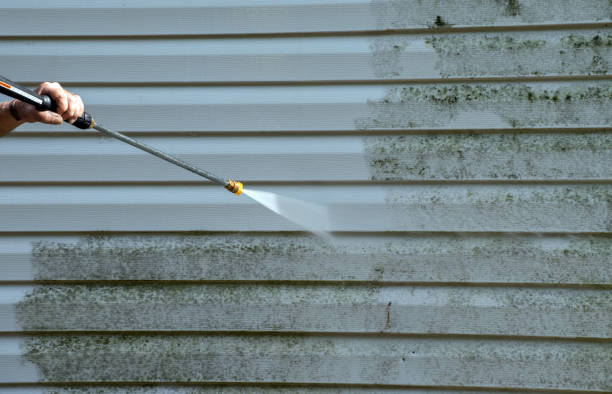 Best Restaurant Pressure Washing  in Wildwood, FL