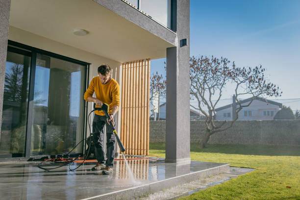 Best Driveway Pressure Washing  in Wildwood, FL