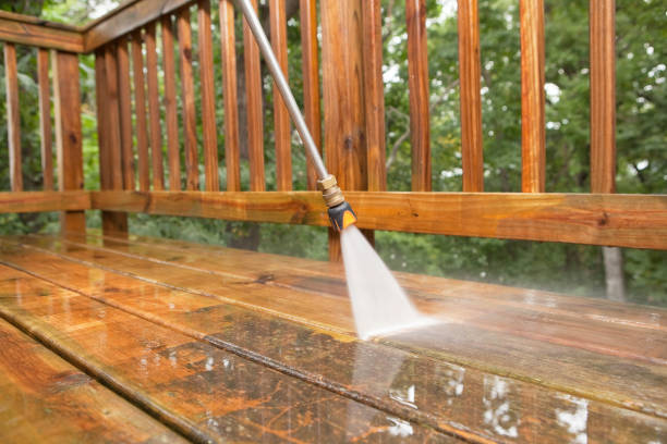 Animal Enclosure Cleaning in Wildwood, FL